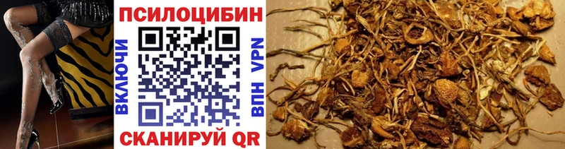Купить где  Иваново  Псилоцибиновые грибы прущие грибы 